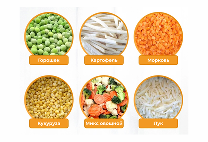 Линия для нарезки, сушки, мойки и замораживания фруктов и овощей